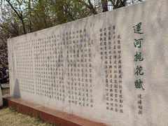-桃花堤公园