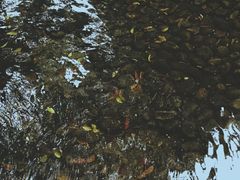 -成都市活水公园
