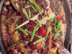 -老板恋上鱼(恒隆广场店)