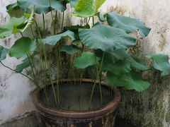 -宁波茶文化博物院