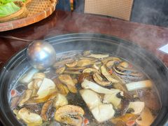 -滇野云南野生菌餐厅(陕西南路店)