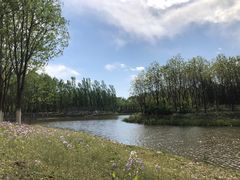 -东郊湿地公园