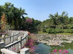 -大屏嶂森林公园