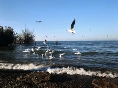 -捞渔河湿地公园