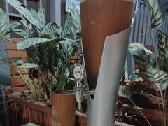 -蚝老板海鲜烧烤大排档(码头店)