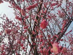 -贵阳市花溪国家城市湿地公园