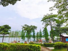 -飞来湖湿地公园