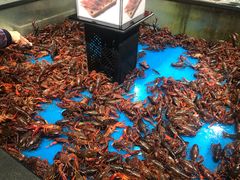 -盒马鲜生(皇庭广场店)