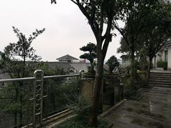 -老幺泉水鸡