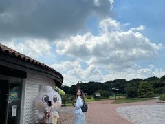 -济州森林小火车生态公园