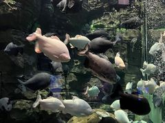 -成都浩海立方海洋公园