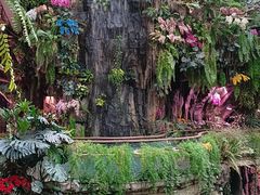 -正佳雨林生态植物园