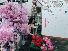 -苏州市皮市街花鸟工艺品市场