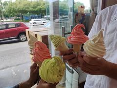 -萨朗刀克冰淇淋雪花凉(植物园店)
