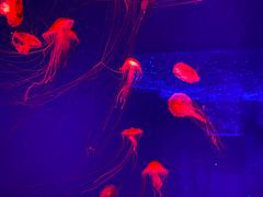 -波塞冬旅游度假区