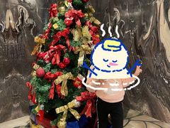 -上海龙之梦万丽酒店