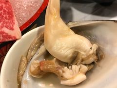 -鲜入围煮花胶鸡海鲜火锅