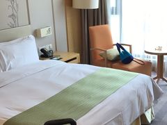 -南阳建业森林半岛假日酒店