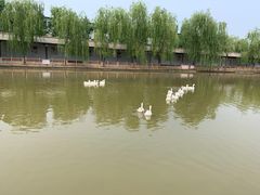 -河北村民俗体验园