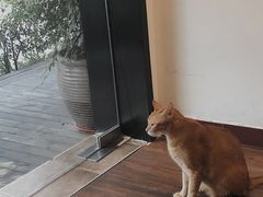 -默迹咖啡馆
