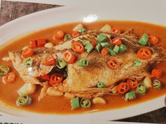 -新吉士·上海菜(浦东LCM置汇旭辉店)