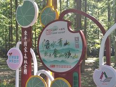 -东平国家森林公园