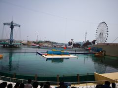 -秦皇岛乐岛海洋王国