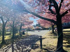 -成都濑川外国语学校