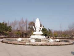 -水杉园