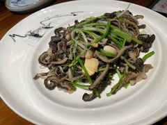 芫爆肚丝-燕郊烧鸽子(广安路店)