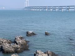 -龙井壹号·茶缘山景宴(龙井村店)