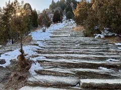 -清东陵
