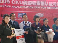 -优缇多格专业宠物美容师培训学校