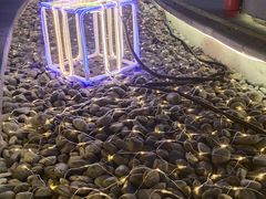 -有家生煎(三里屯店)