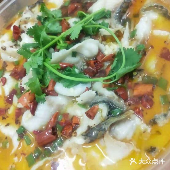 老私基酸菜鱼
