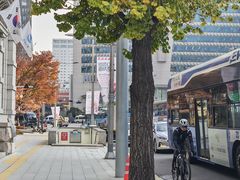 -新世界百货(明洞总店)