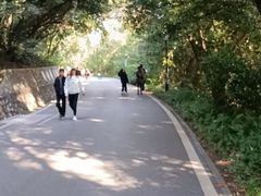 -三门江国家森林公园