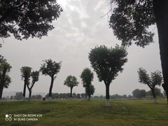 -汉长安城未央宫国家考古遗址公园