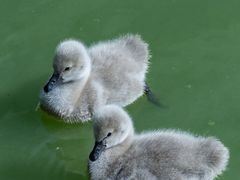 -杭州野生动物世界