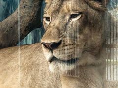 -清迈夜间动物园