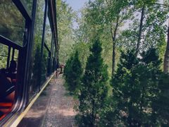 -合肥滨湖国家森林公园