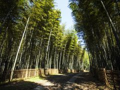 -黄公望隐居地
