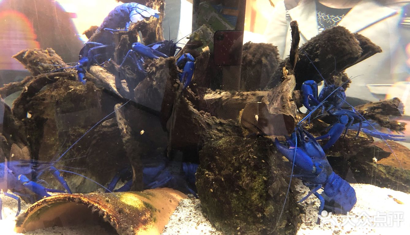 鸟羽水族馆