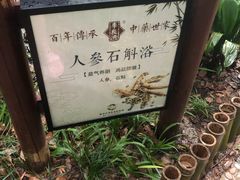 -苏州环秀晓筑养生度假村