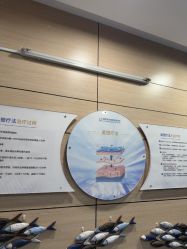 -重庆联合丽格第五医疗美容医院