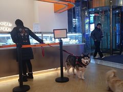-St蛋糕王国(亨特店)