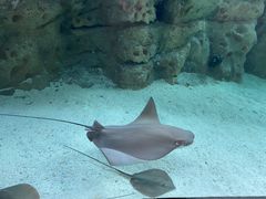 -珠海长隆海洋王国