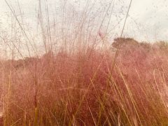 -象山森林公园