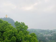 -城外有星光桥舍(南山店)