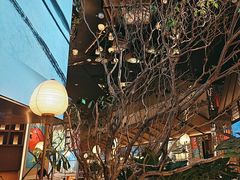 -桂满陇·海市蜃楼·黑金(国金店)